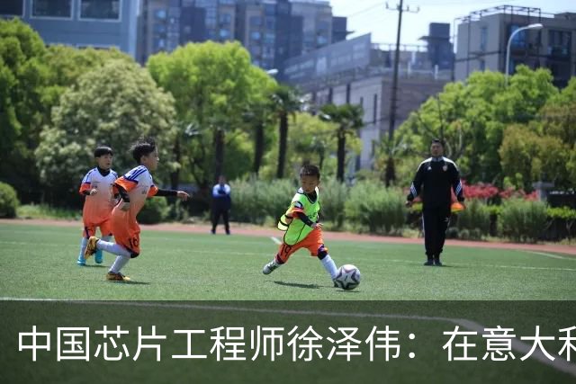 中国芯片工程师徐泽伟：在意大利被引渡至美国，如今怎么样了？